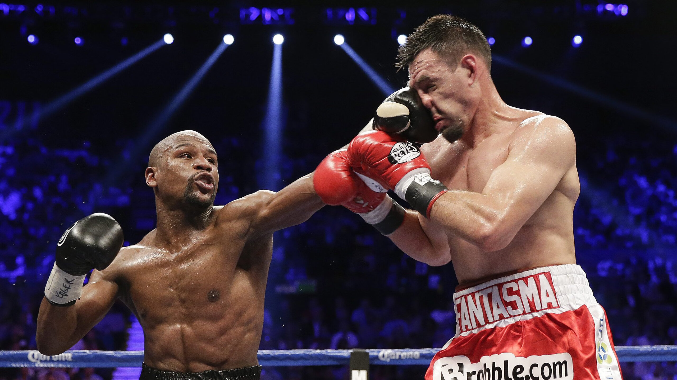 蛙泳比赛中立代表队A表现亮眼，蛙泳竞赛规则2019-2022