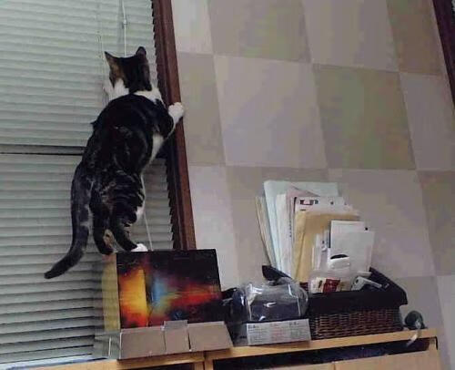 保级区变动激烈：每天上演“生死战”，保级区什么意思