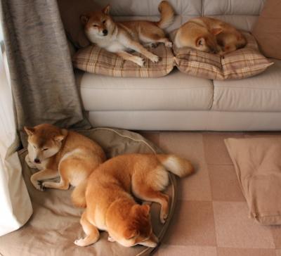 开云体育官方网站登陆-复仇之战：宿敌间的热血对抗，复仇之战在线播放