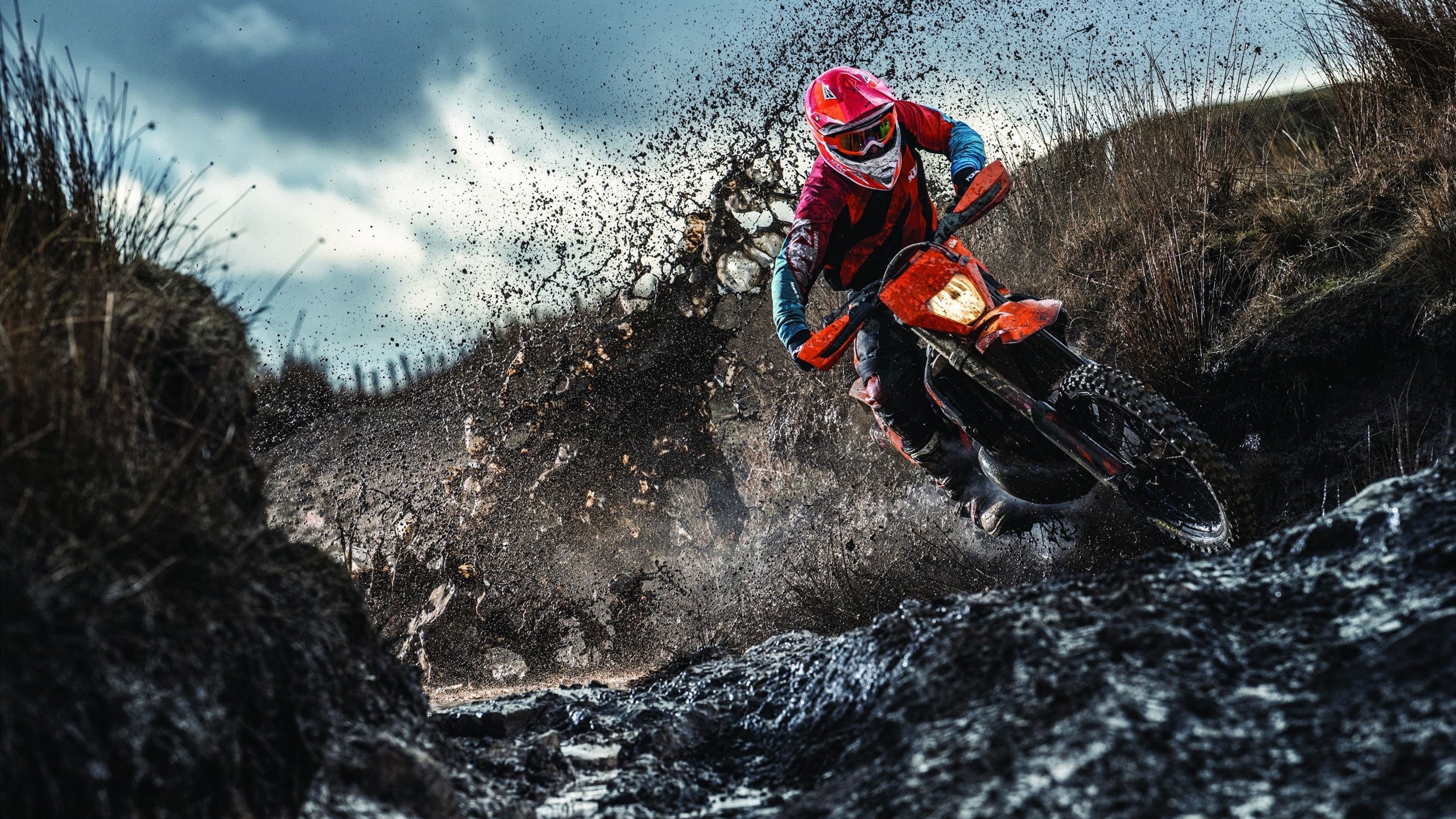 开云-“霍斯特：南非橄榄球的下一位传奇人物？”