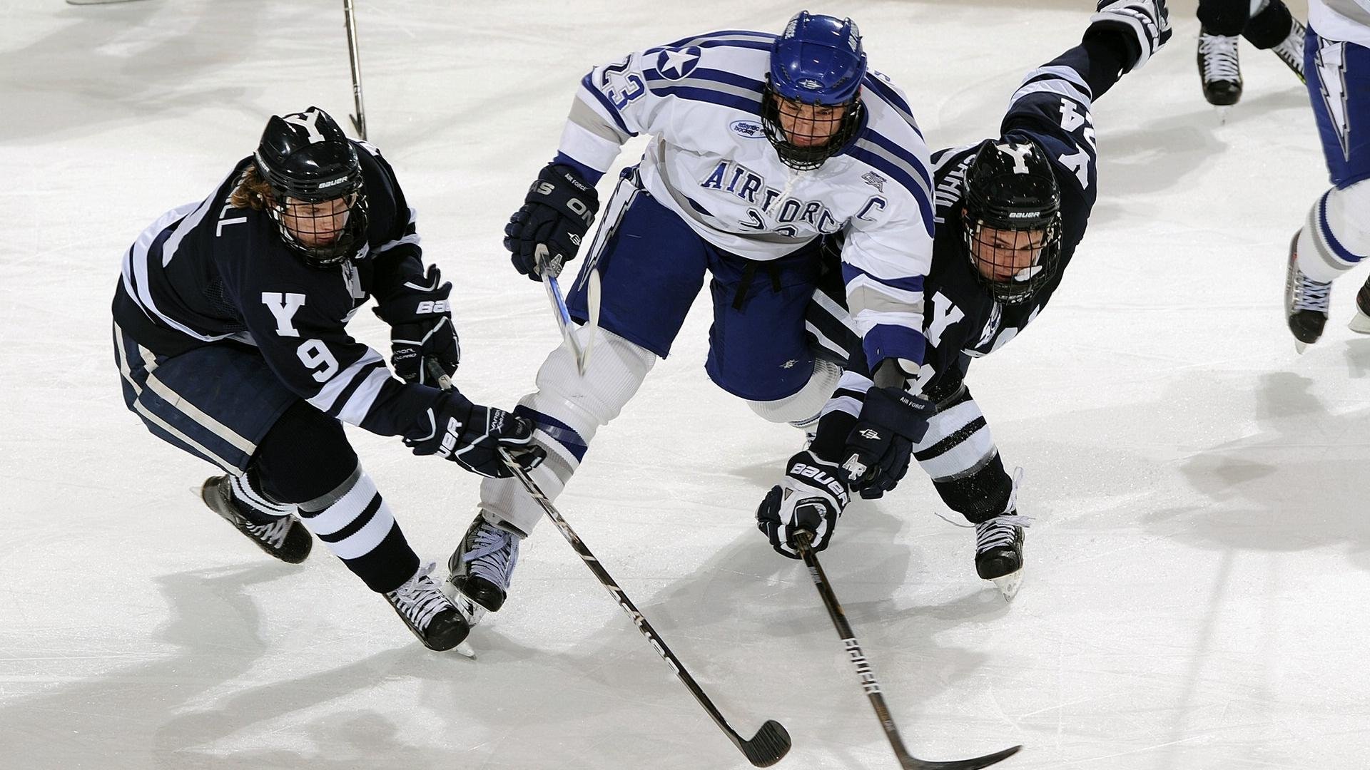 开云kaiyun-德甲联赛的场馆现代化升级，德甲球场标准