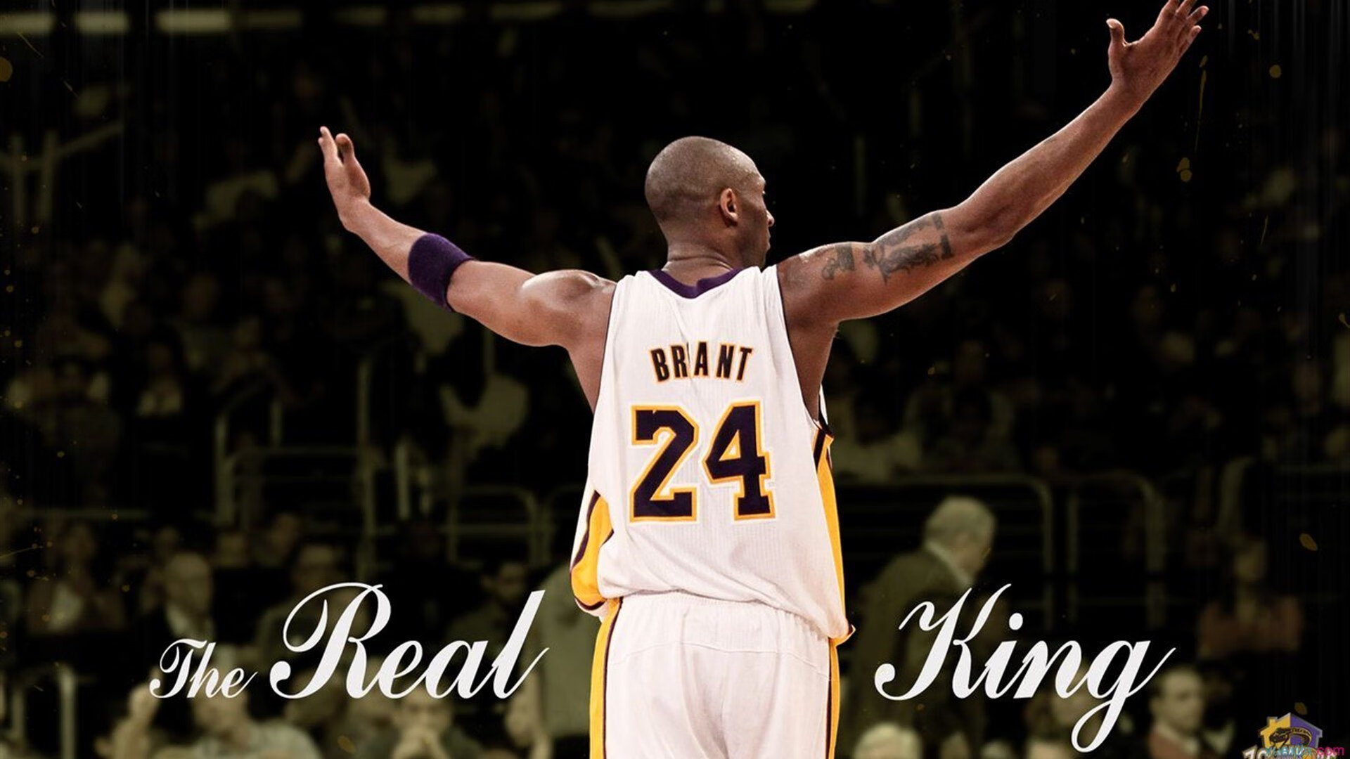 开云官方网页登录-科尔博刷新个人最佳成绩，引发热议，科博莱尔